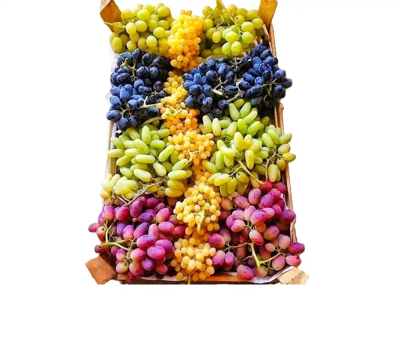 Fresh Afghan green grapes