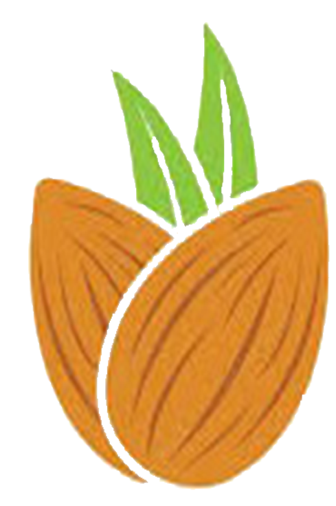 Dry Fruit