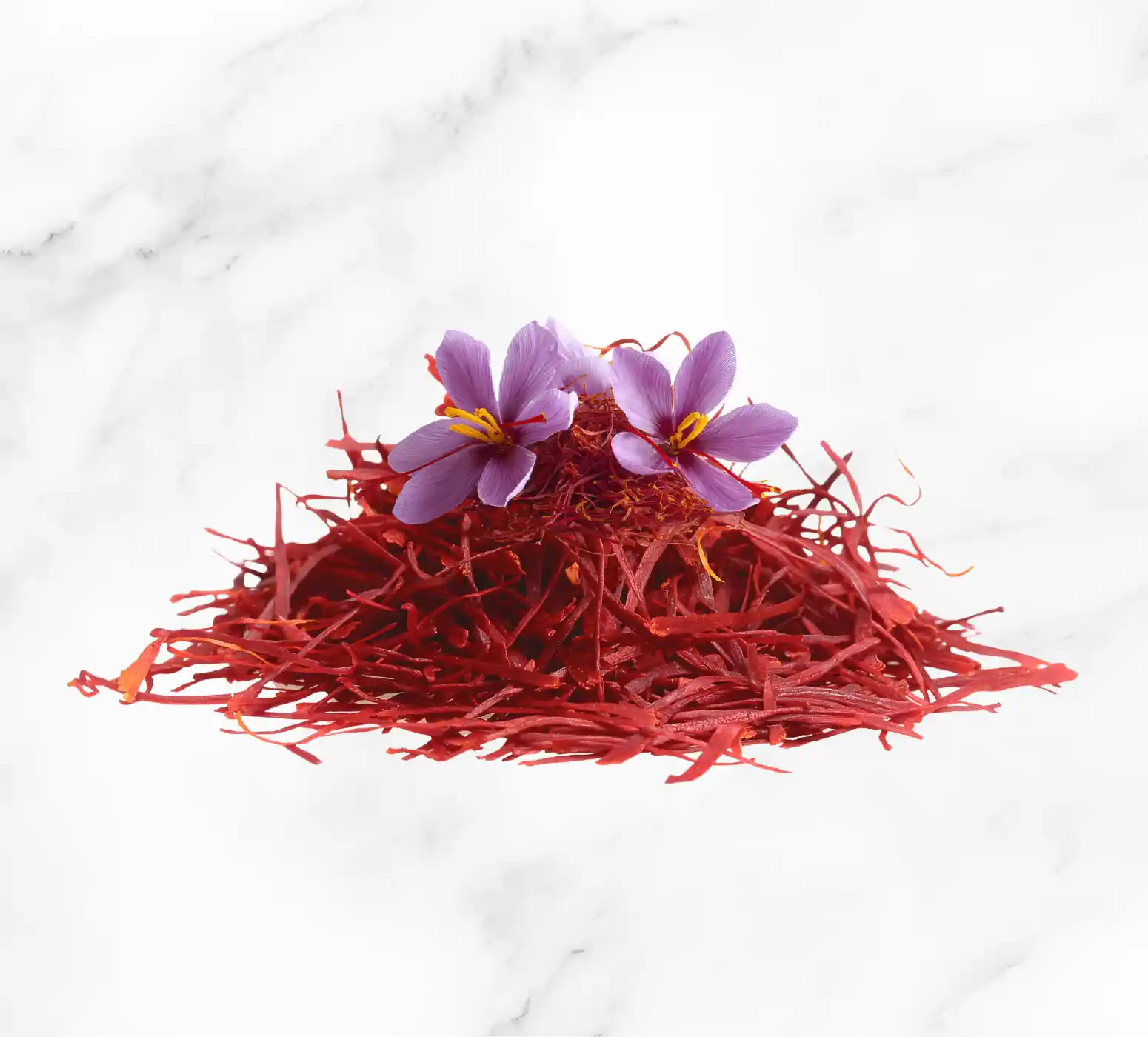 Afghan farmers harvesting saffron flowers